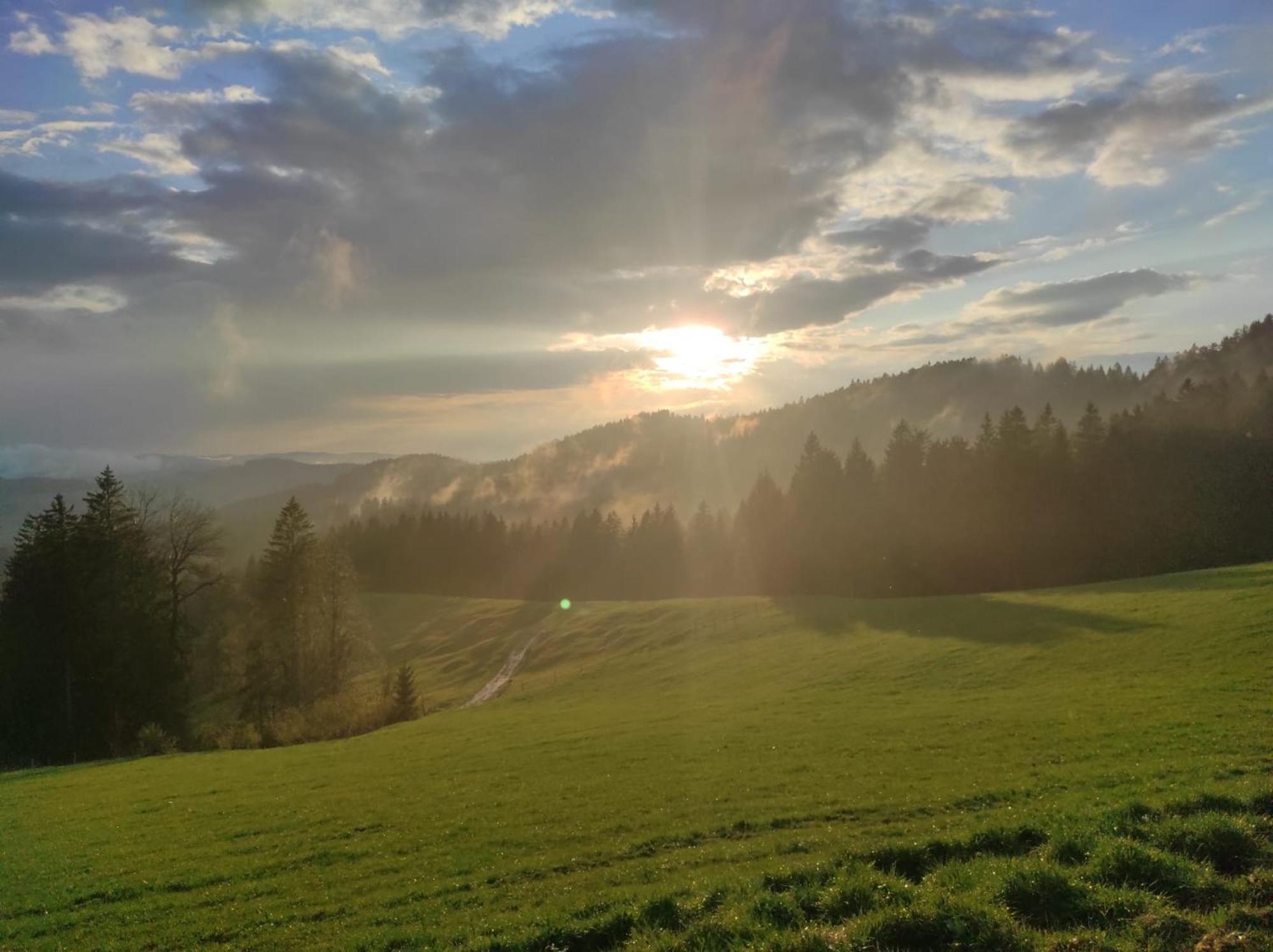 Sonnen-Juwel - Hallenbad-Sauna-2 Getrennte Schlafbereiche-Direkt An Der Skipiste Missen-Wilhams Esterno foto