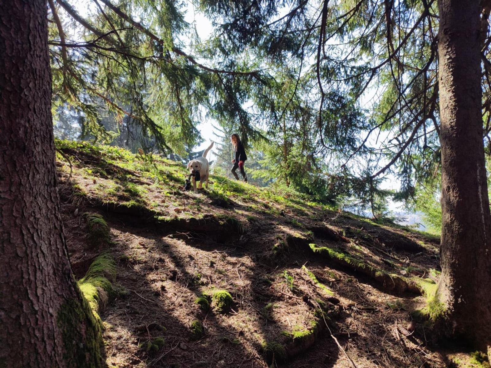 Sonnen-Juwel - Hallenbad-Sauna-2 Getrennte Schlafbereiche-Direkt An Der Skipiste Missen-Wilhams Esterno foto