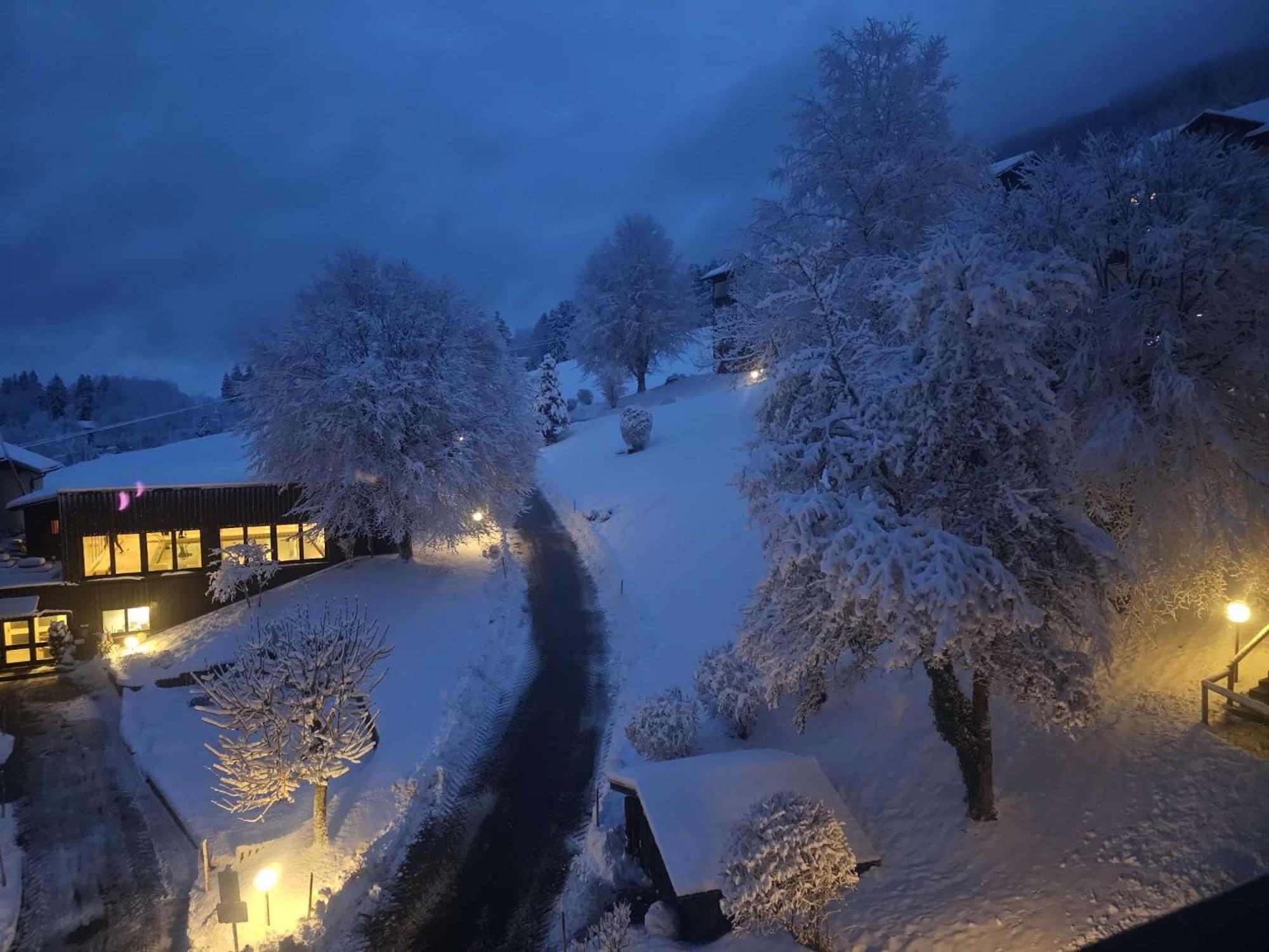 Sonnen-Juwel - Hallenbad-Sauna-2 Getrennte Schlafbereiche-Direkt An Der Skipiste Missen-Wilhams Esterno foto