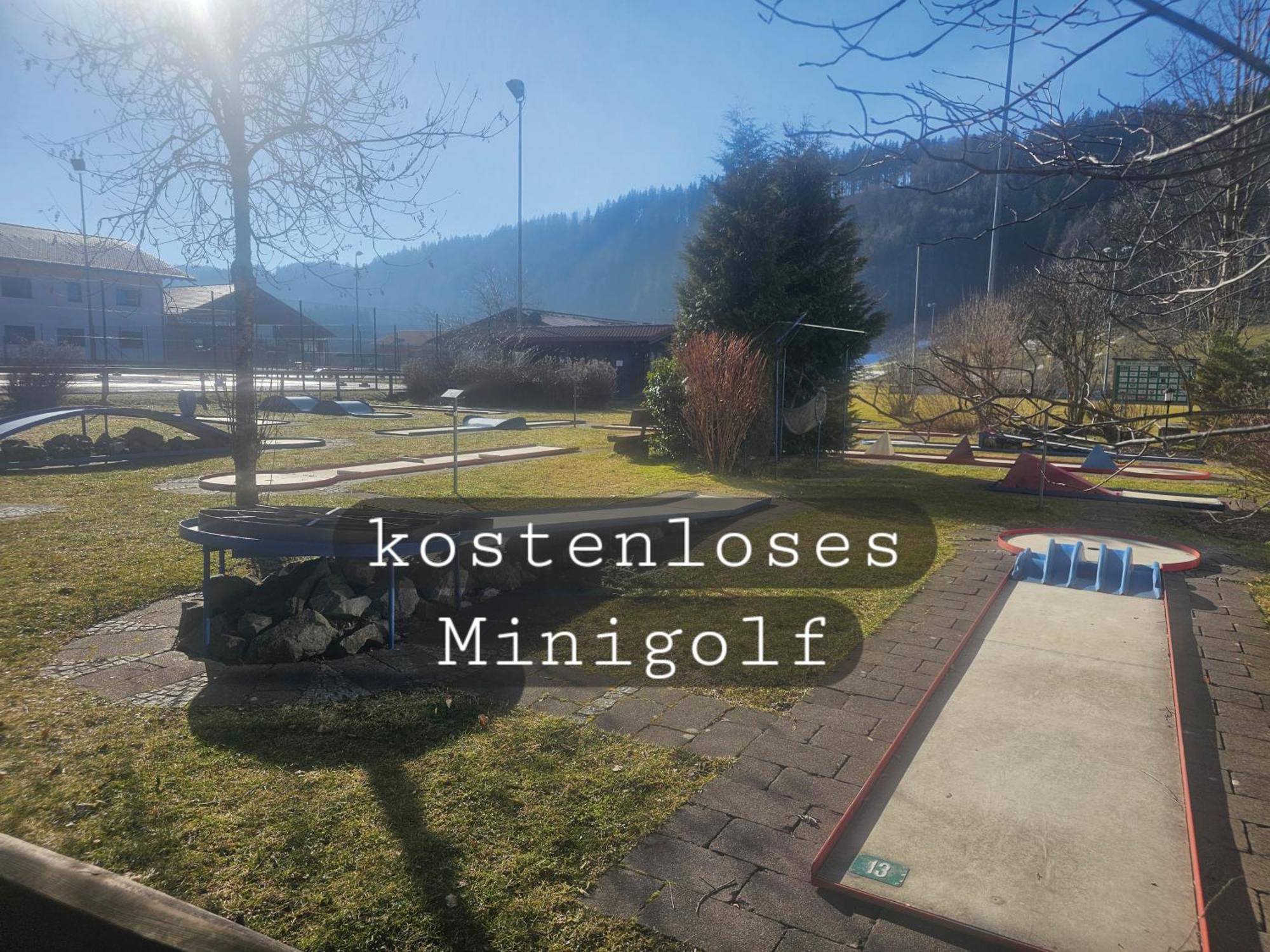Sonnen-Juwel - Hallenbad-Sauna-2 Getrennte Schlafbereiche-Direkt An Der Skipiste Missen-Wilhams Esterno foto
